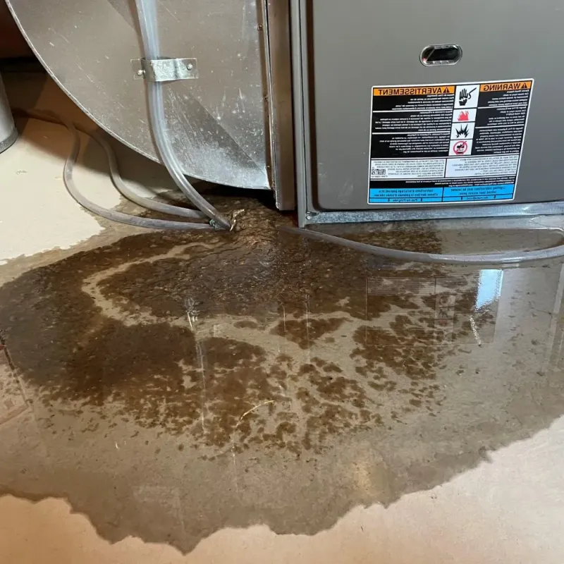 Pipe Burst and Leak Restoration in Dayton, ME