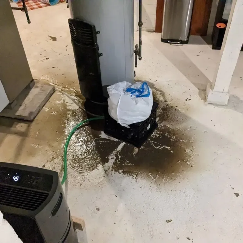 Sewage Backup Cleanup Service in Dayton, ME